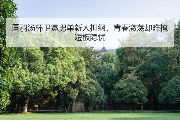 guo-yu-tang-bei-wei-mian-nan-dan-xin-ren-dan-gang-qing-chun-ji-dang-que-nan-yan-duan-ban-yin-you-2-543.jpg