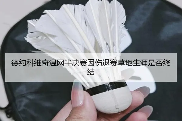 de-yue-ke-wei-qi-wen-wang-ban-jue-sai-yin-shang-tui-sai-cao-di-sheng-ya-shi-fou-zhong-jie-2-887.jpg